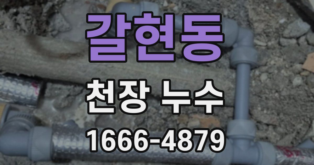 갈현동 천장 누수
