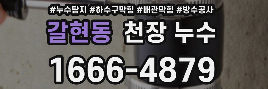 갈현동 천장 누수