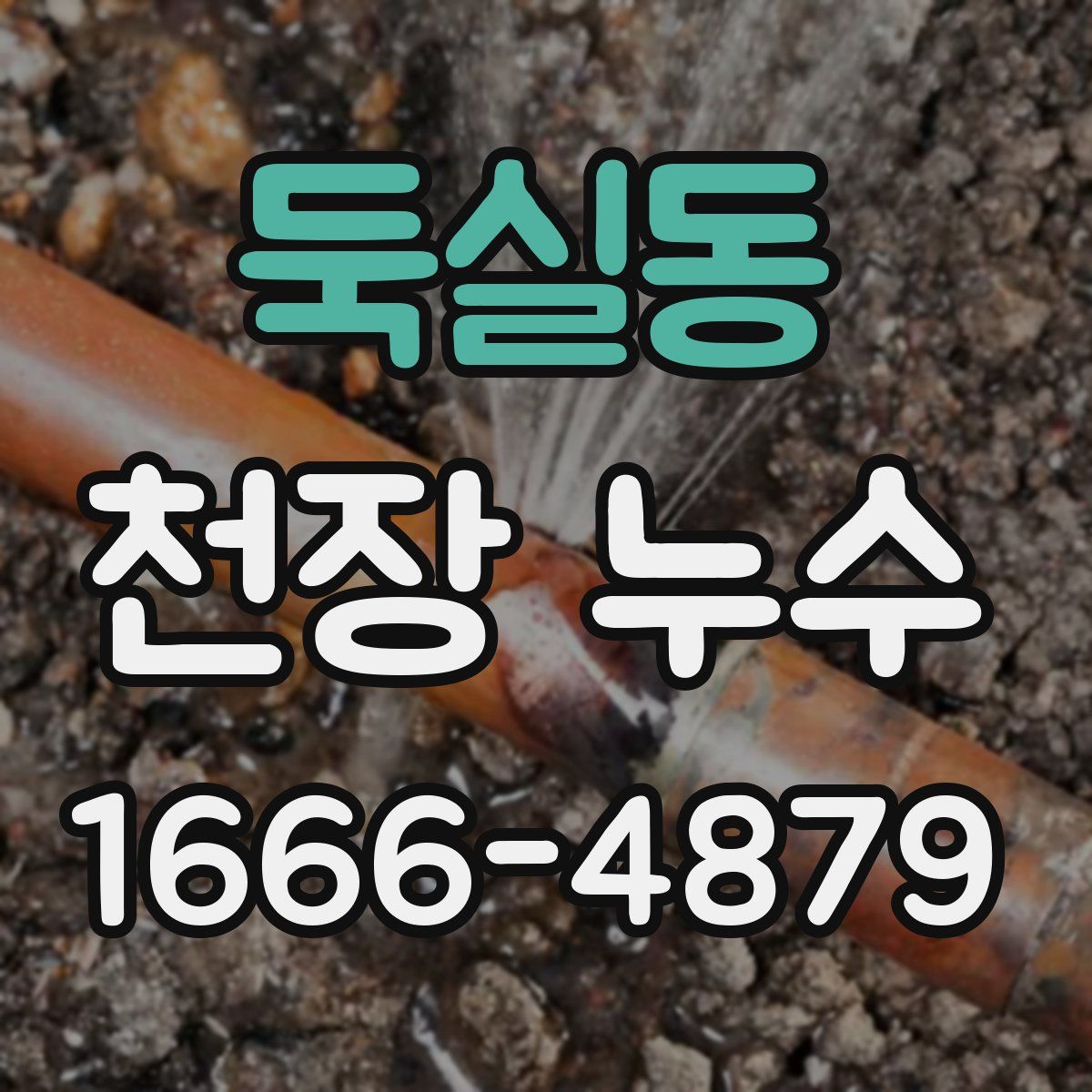 둑실동 천장 누수