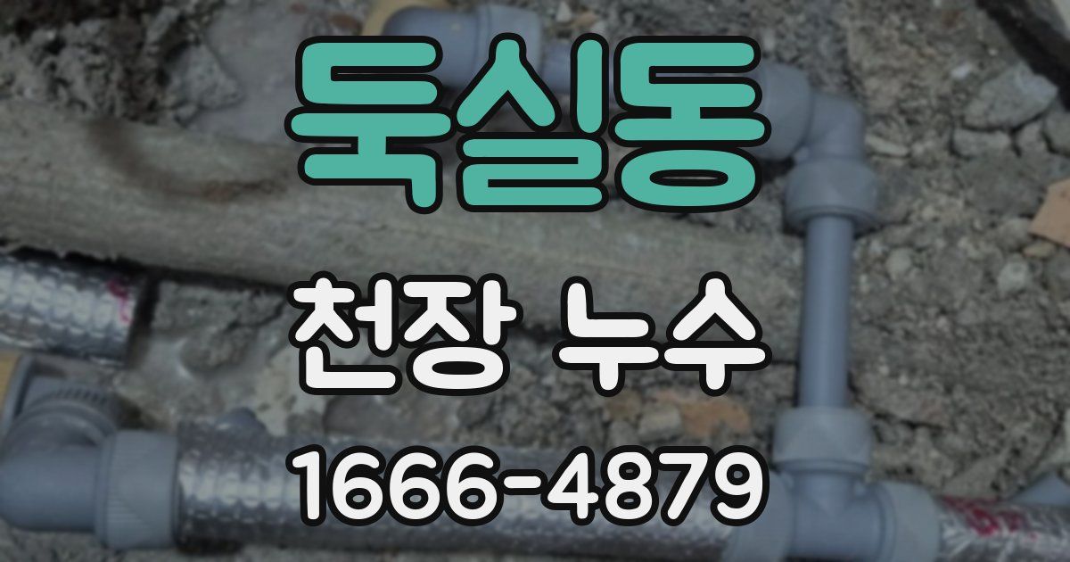 둑실동 천장 누수