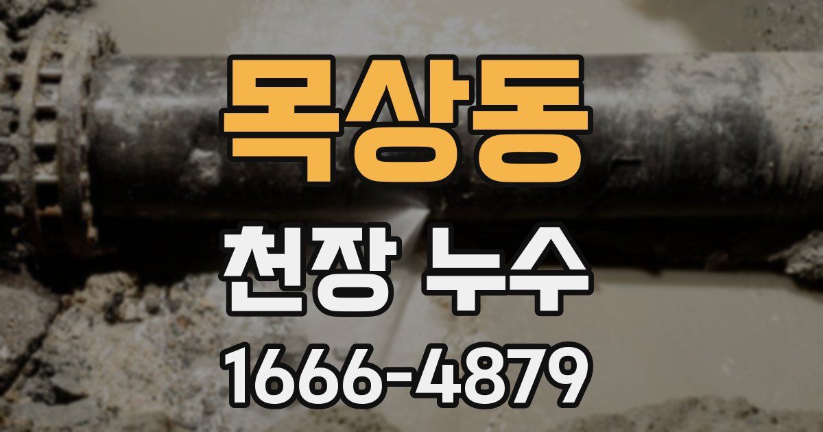 목상동 천장 누수