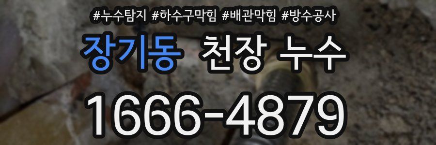 장기동 천장 누수