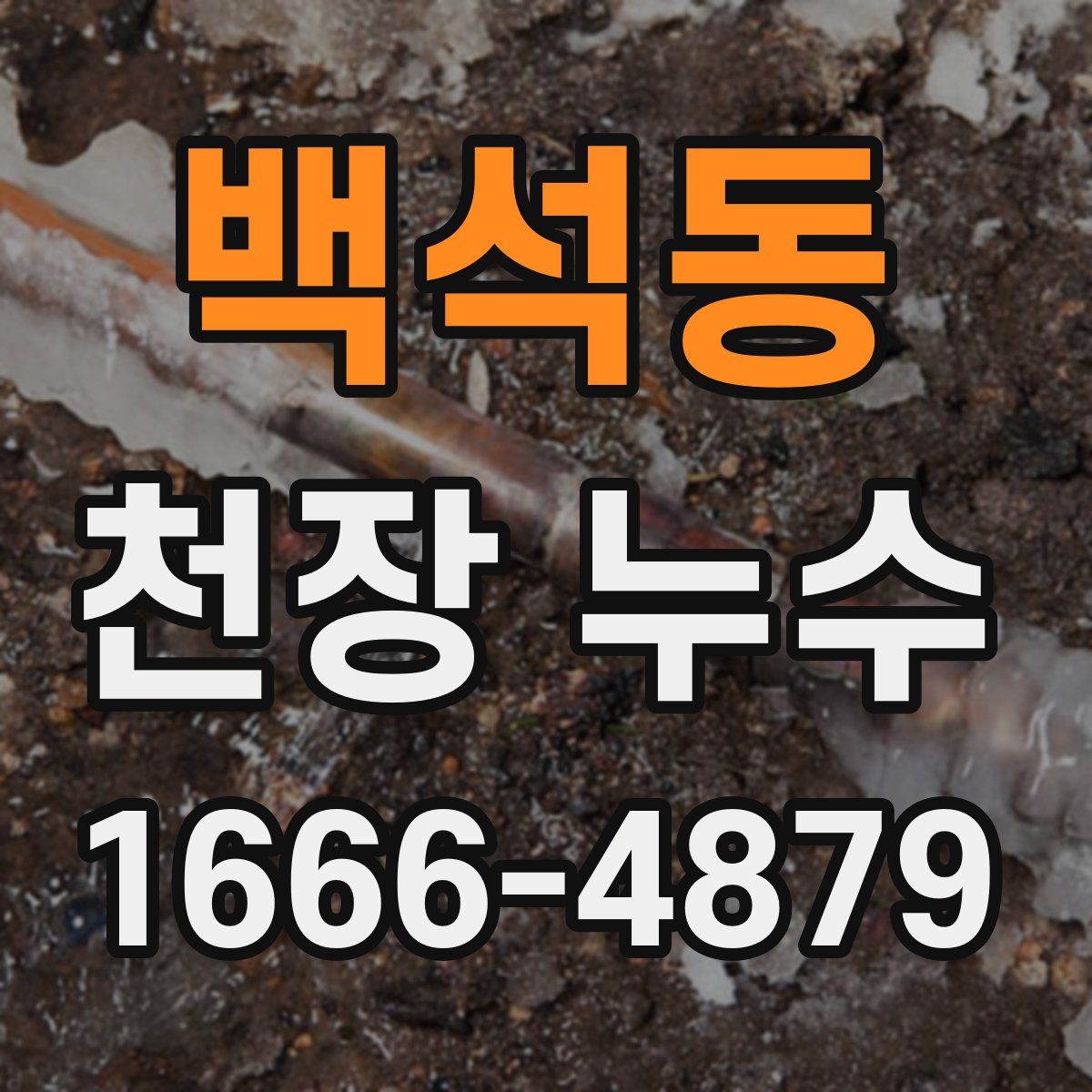 백석동 천장 누수