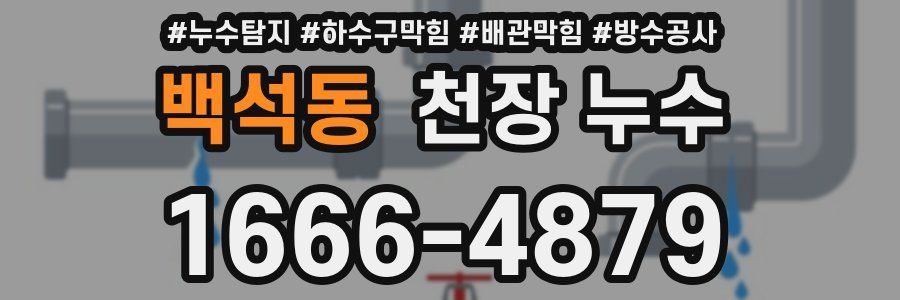 백석동 천장 누수