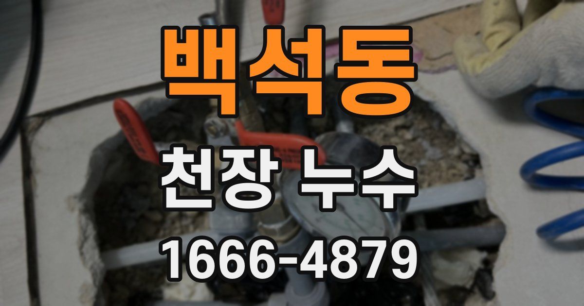 백석동 천장 누수