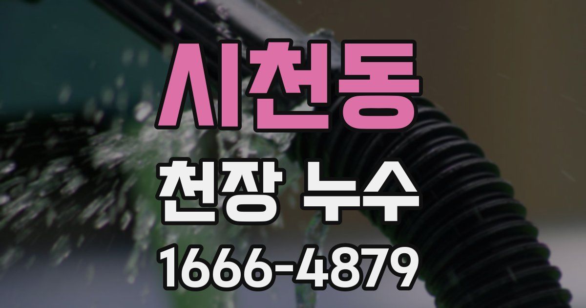 시천동 천장 누수