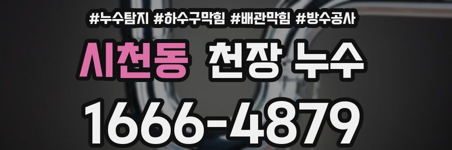 시천동 천장 누수