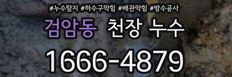검암동 천장 누수