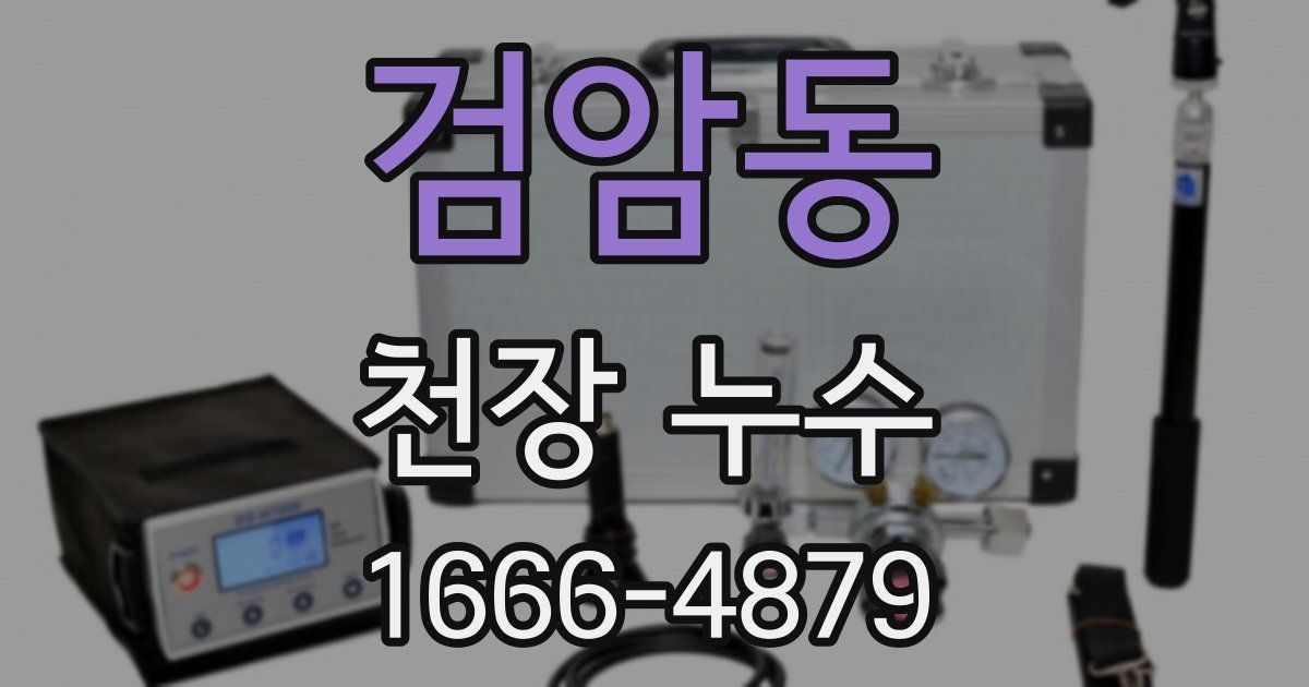 검암동 천장 누수