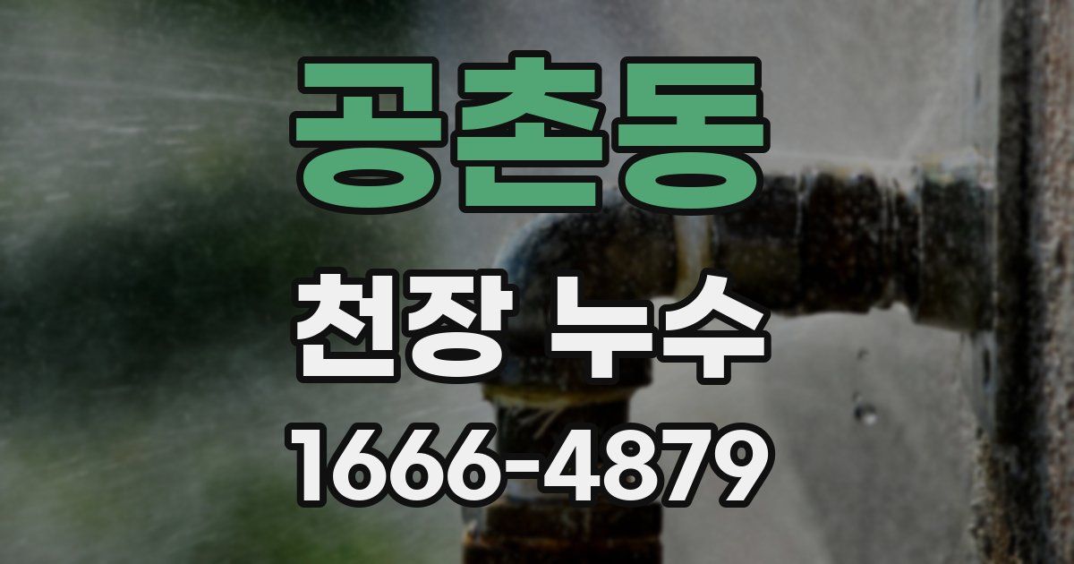 공촌동 천장 누수