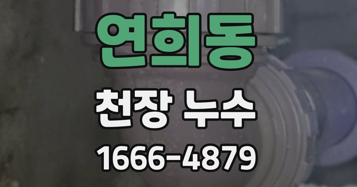 연희동 천장 누수