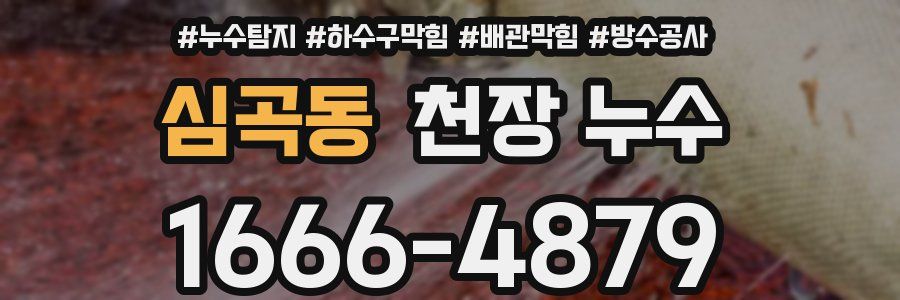 심곡동 천장 누수