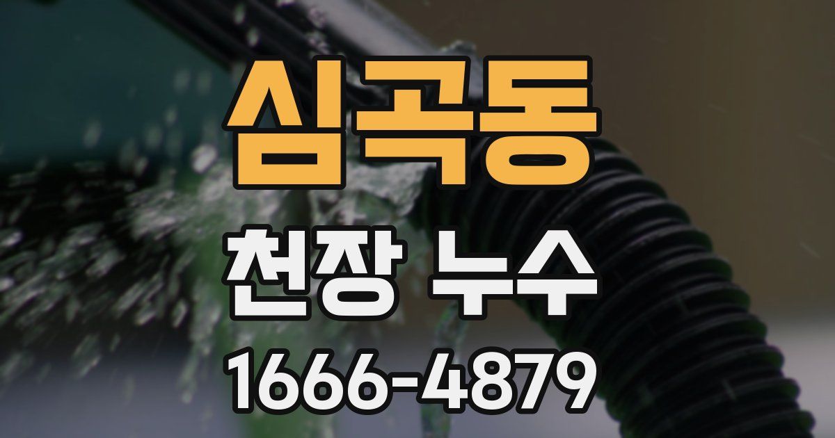 심곡동 천장 누수