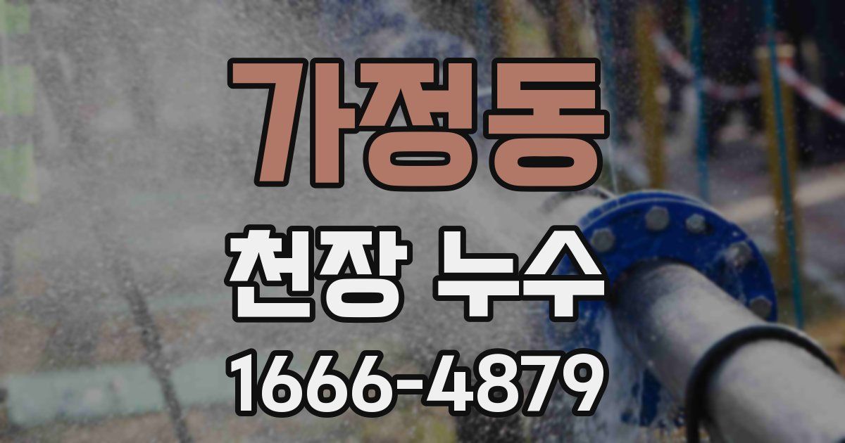 가정동 천장 누수