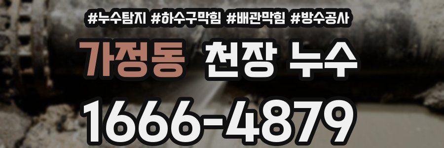 가정동 천장 누수