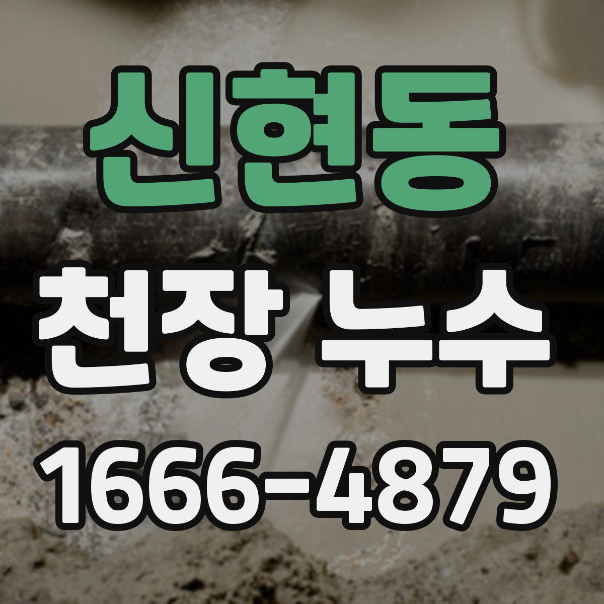 신현동 천장 누수