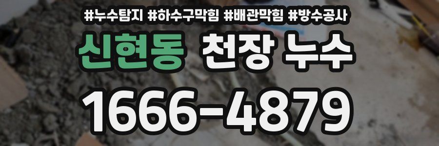 신현동 천장 누수