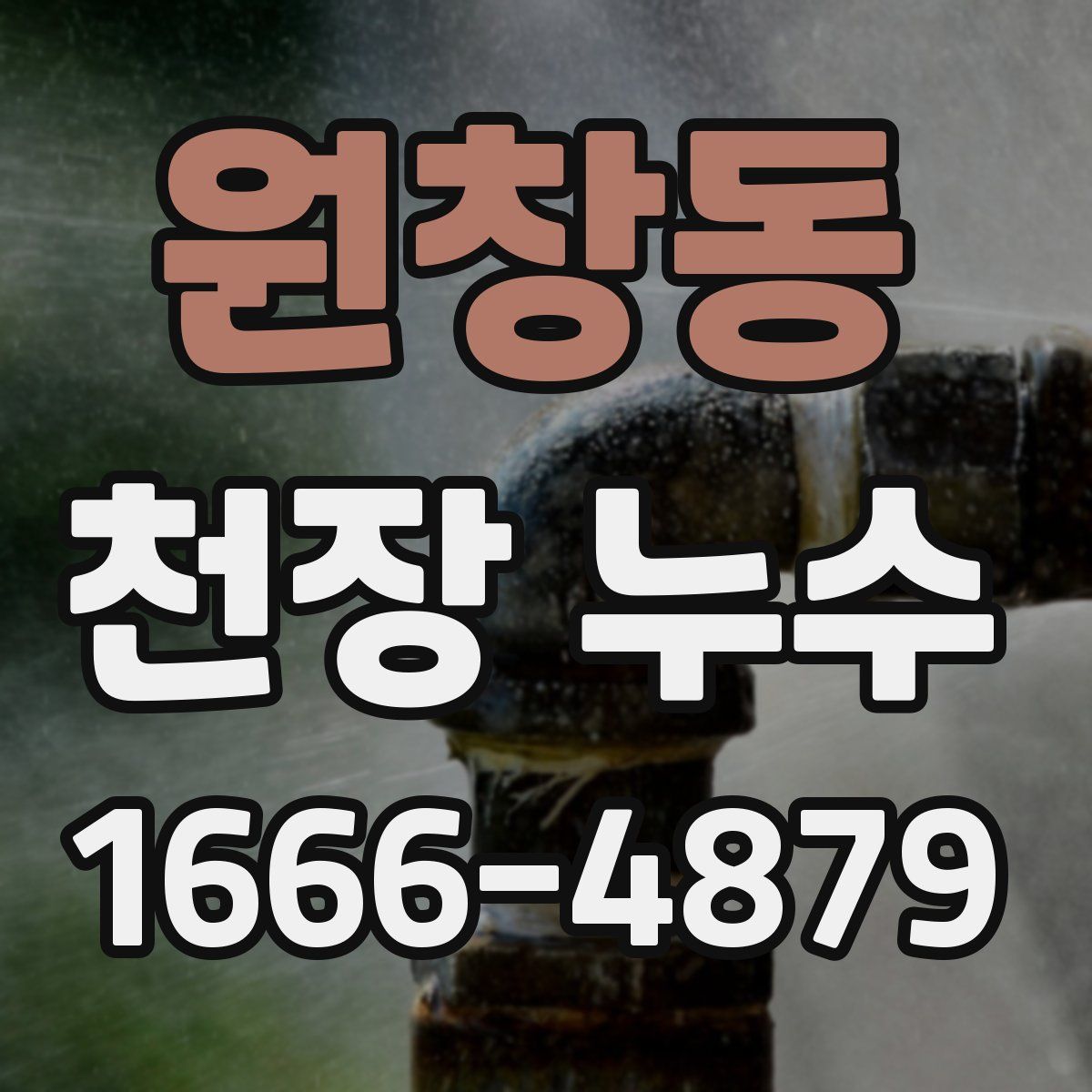 원창동 천장 누수