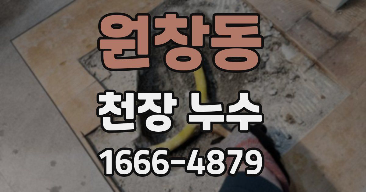 원창동 천장 누수