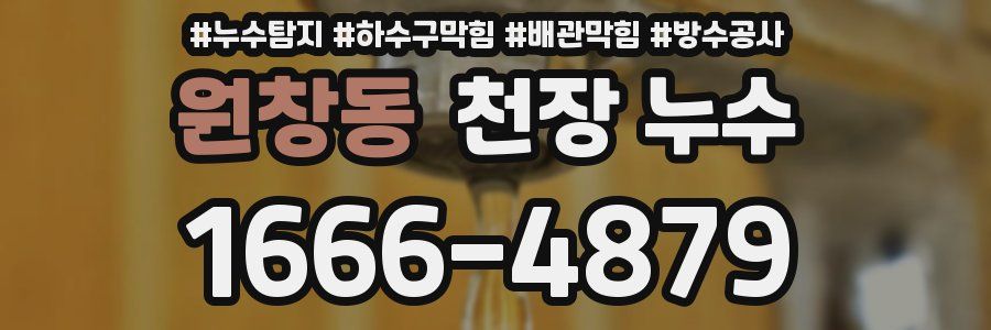 원창동 천장 누수
