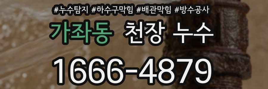 가좌동 천장 누수