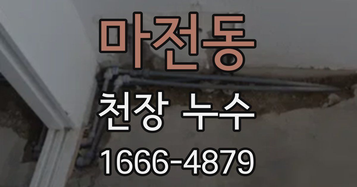 마전동 천장 누수
