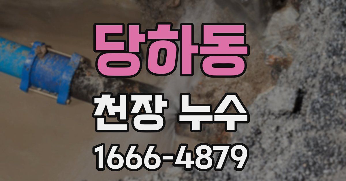 당하동 천장 누수