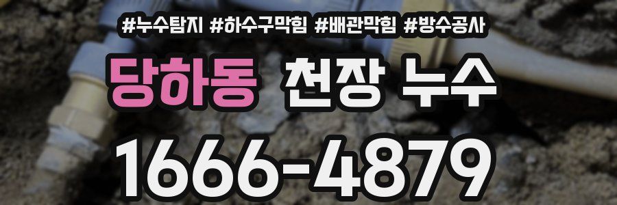 당하동 천장 누수