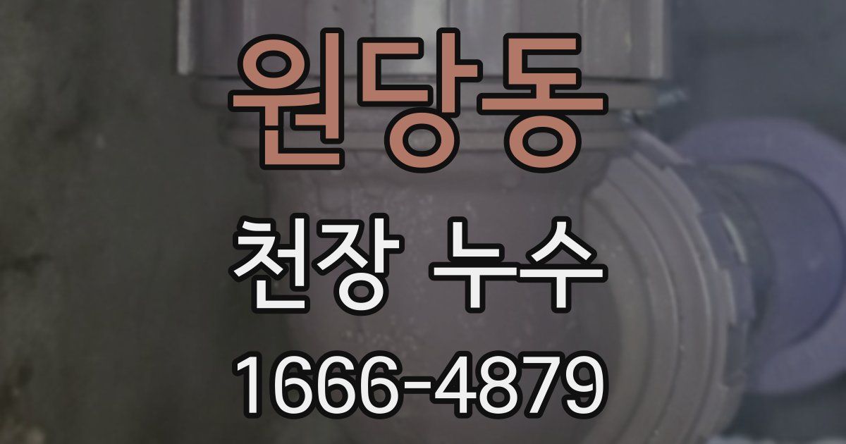 원당동 천장 누수