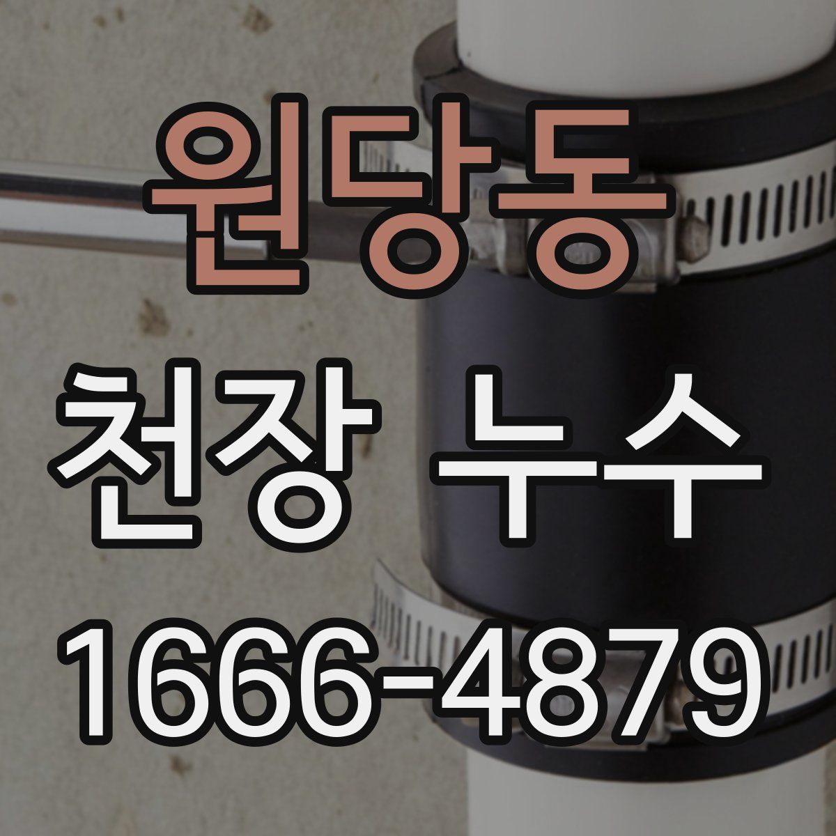 원당동 천장 누수