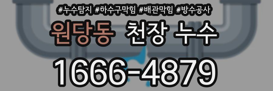 원당동 천장 누수