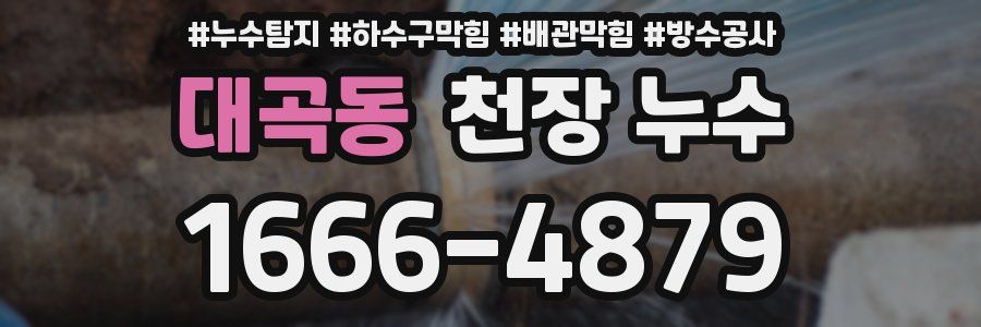 대곡동 천장 누수