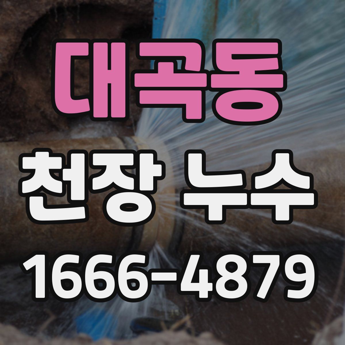 대곡동 천장 누수