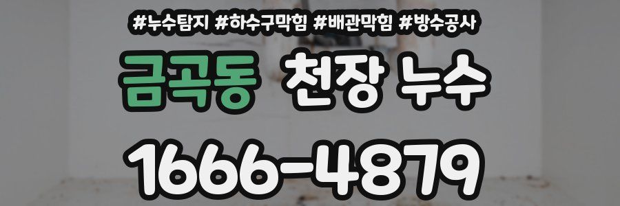 금곡동 천장 누수