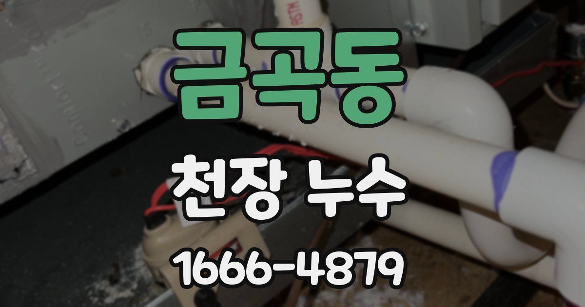 금곡동 천장 누수