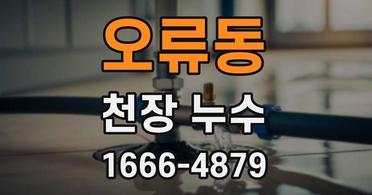 오류동 천장 누수