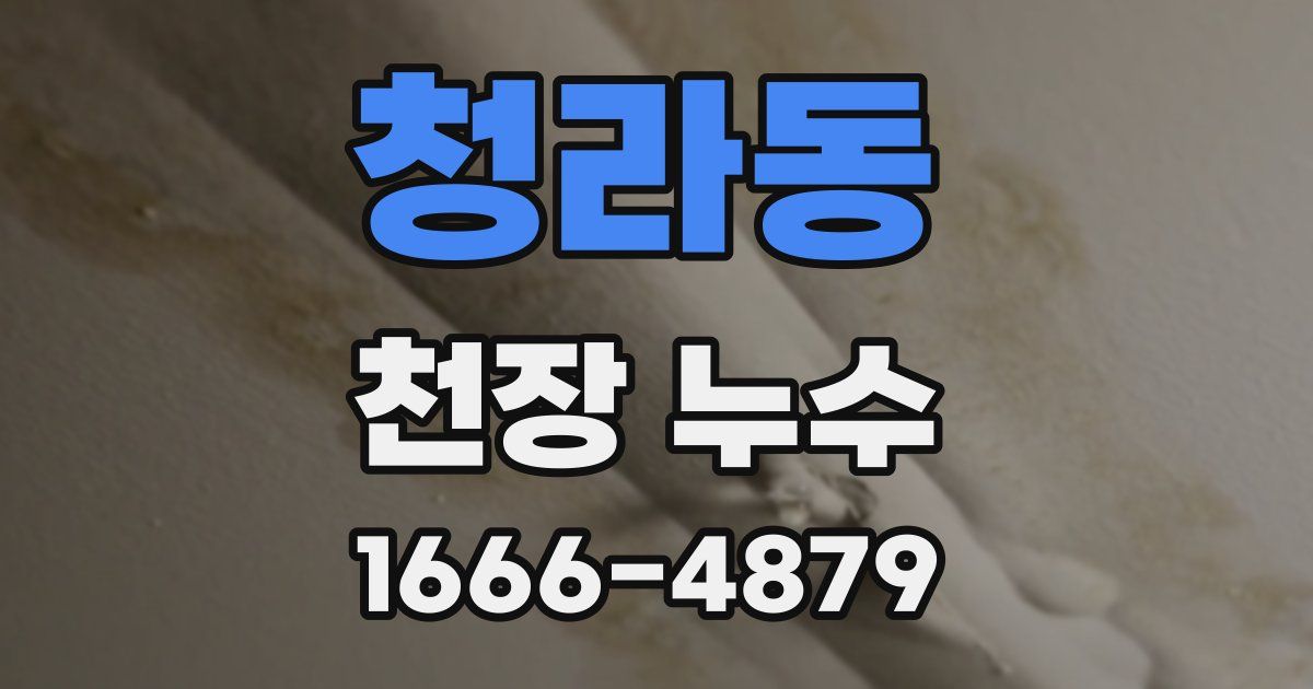청라동 천장 누수