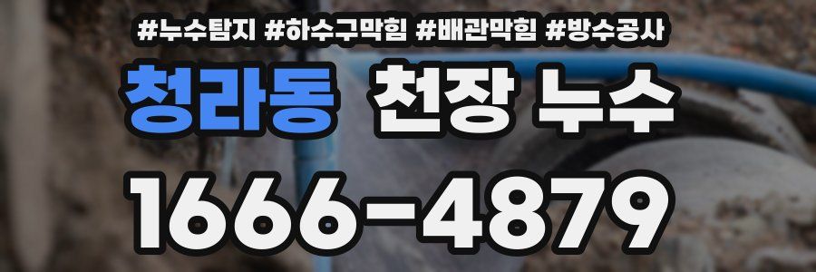 청라동 천장 누수
