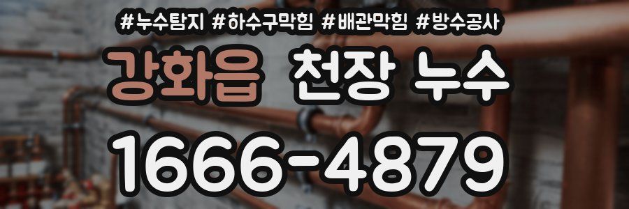 강화읍 천장 누수