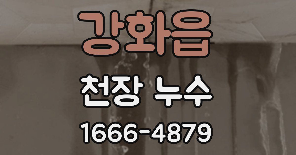 강화읍 천장 누수