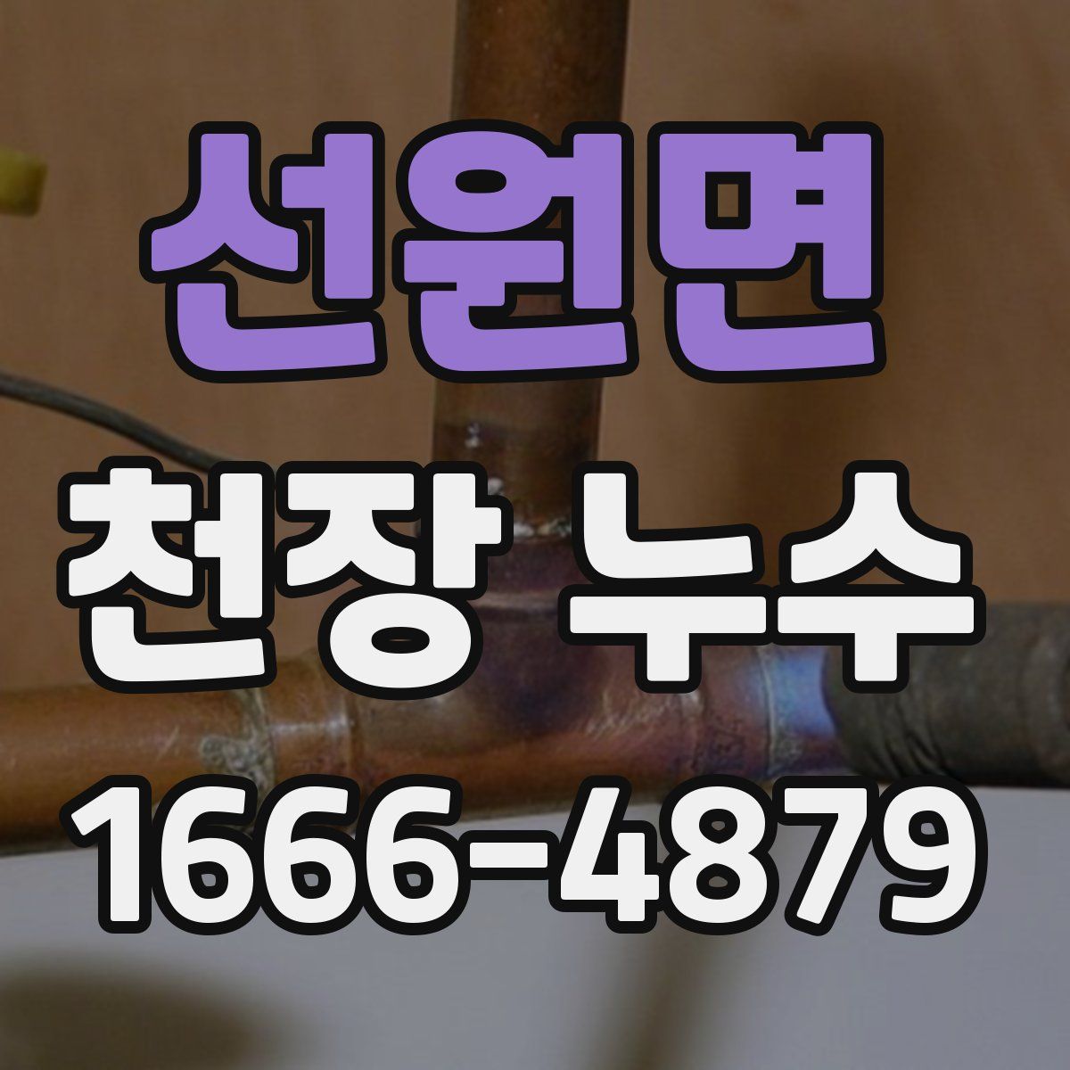 선원면 천장 누수
