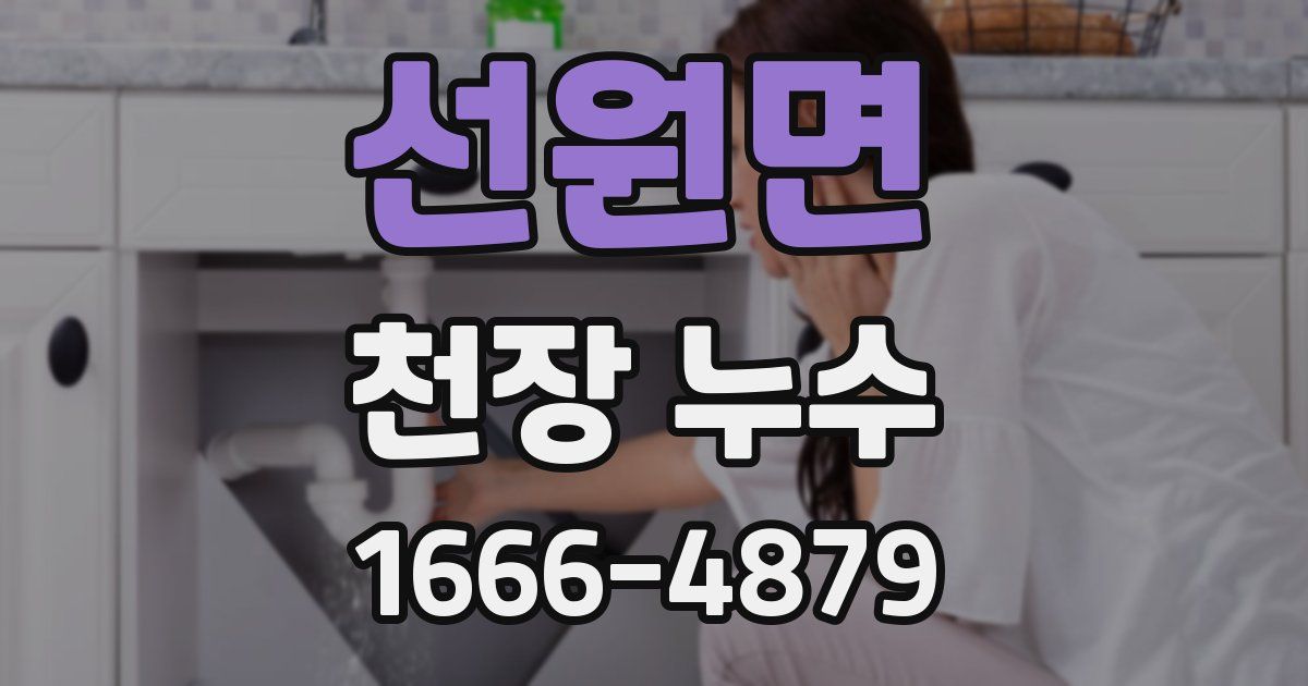 선원면 천장 누수