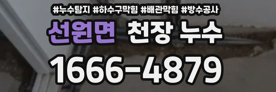 선원면 천장 누수