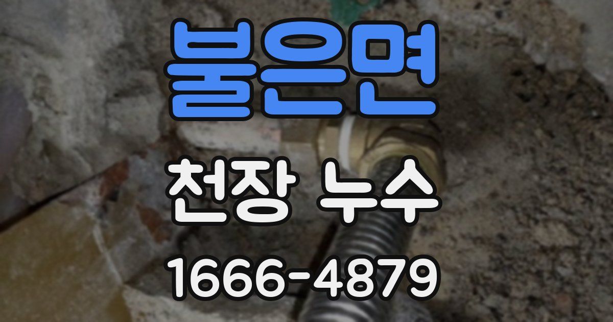 불은면 천장 누수