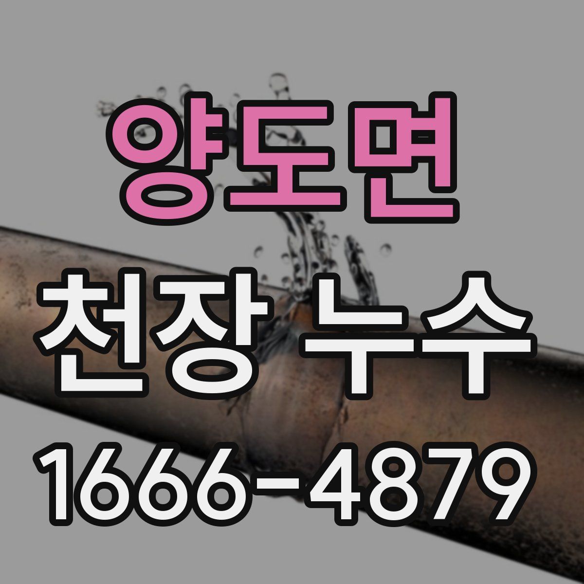 양도면 천장 누수