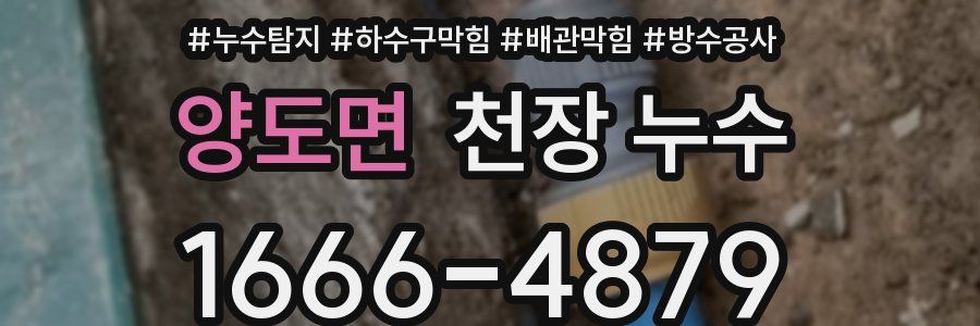 양도면 천장 누수