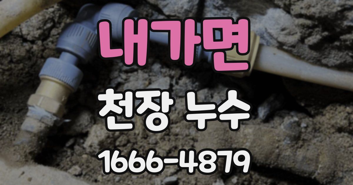 내가면 천장 누수