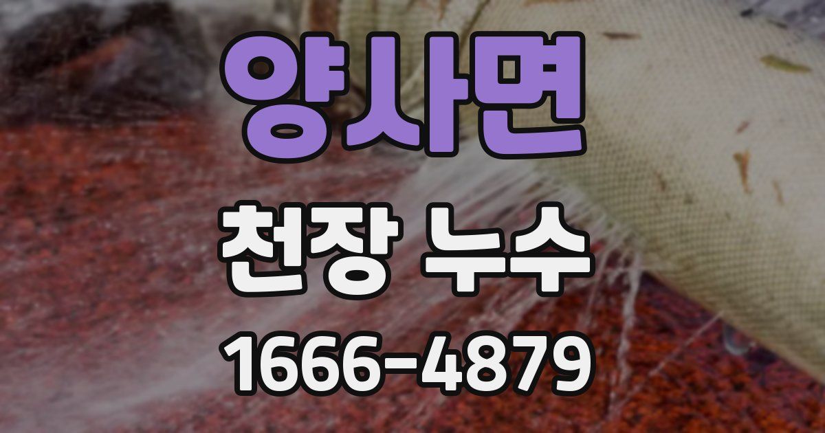 양사면 천장 누수