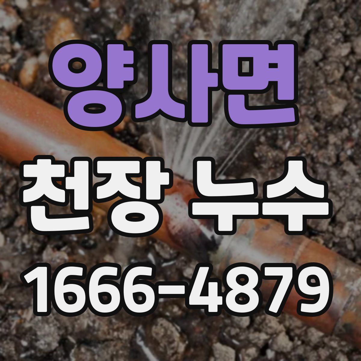 양사면 천장 누수