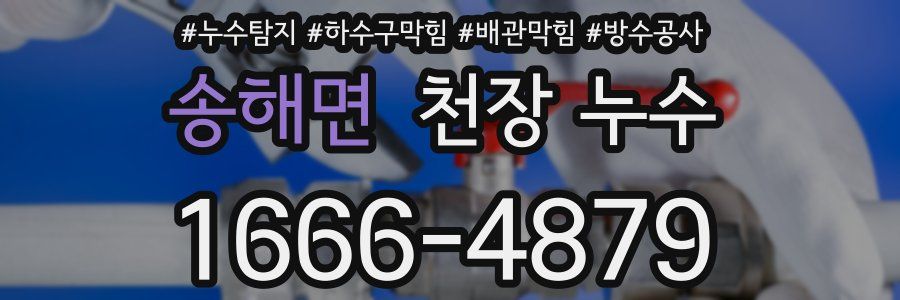 송해면 천장 누수